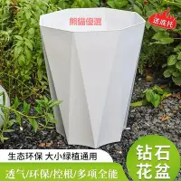 在飛比找Yahoo!奇摩拍賣優惠-精品花盆家用大號客廳簡約塑料加厚盆栽發財樹龍血樹天堂鳥大口徑