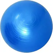 rockible 45/85 Cm Soft Anti Burst Yoga Ball Exercise Gym Pilates Balls, 45cm Blue