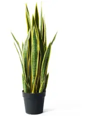 [SOGA] 70cm Artificial Flower Pot Plant in Yellow