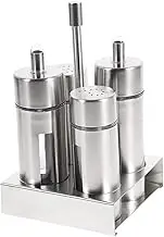 TOPPERFUN Stainless Steel Condiment Storage Set Removable Seasoning Containers with Base Stand for Easy Access Kitchen Transparent Body for Quick Identification
