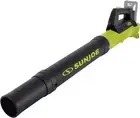 Cordless Urban Cleanup Essential: 24-Volt IONMAX Leaf Blower with Quick Charge