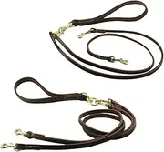 Ipetboom Pet Traction Strap Dog Traction Strap Pet Supplies Dog Double Leads Fashion