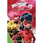 MIRACULOUS TALES OF LADYBUG AND CAT NOIR 2: GOTCHA!