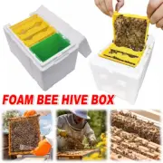 Eco-Friendly Foam Beekeeping Breeder Box Pollination Bucking Box Beehive Tool
