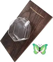 Parliky 1 Set Wall Mounted Hydroponic Glass with Wood Panel Decorative Hanging Planter for Home Office Bar and Cafe for Indoor Plants and Fresh Floral Arrangements