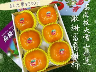 臺灣大雪山 農友-阿財伯  高山中高海拔大甜柿  9A 六粒裝禮盒