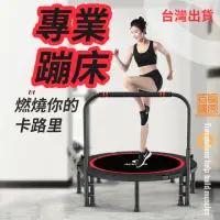 在飛比找momo購物網優惠-【百獅】48吋雙扶手 蹦床 跳床(健身房專業運動器材 成人運