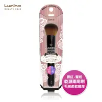 在飛比找PChome24h購物優惠-Lumina A3腮紅蜜粉兩用刷