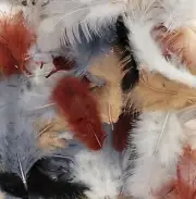 Feathers Coloured - 10 Gr