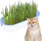 Cat Grass Planting Box, PP Soil- Cat Snacks Growing Container, Digestion Helping Hydroponic Kitten-Grass Planter Set with Seeds, Pet Food Soilless Seed Sprouter for Garden Indoor Nursery