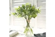 Eucalyptus Stem 36cm Green