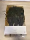 POTTERY BARN - Peacock Feathers - Vase Decorative Filler (set of 12)