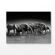 B&W Pack of Elephants Print 100% Australian Made 120x90cm (Stretched Canvas)