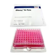 Qiagen™ RNeasy 96 Plate - PCR Molecular Biology - LAB LABORATORY