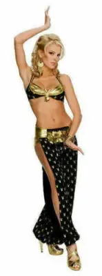 Playboy Harem Girl Adult Women Sexy Belly Dancer Genie Arabian Costume S 2-6
