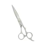 iCandy SWORD PRO Silver VG10 Scissor 6.1 inch Limited Edition!