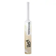 Ghost Pro 4.0 Cricket Bat
