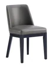 Manhattan Comfort Set of 2 Gansevoort Dining Chairs