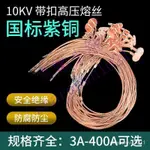 帶扣高壓熔絲 10KV跌落式熔斷器 20A50A100A令剋棒變壓器 保險絲 雪嫩小舖