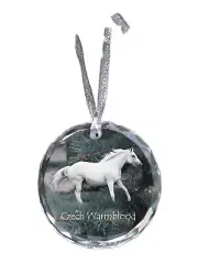 Czech Warmblood crystal medal with a horse Art-Dog