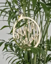 Kentia Palm Hamper, Sydney