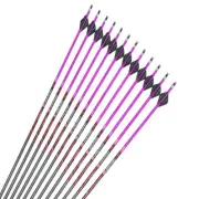 12pcs Archery Carbon Arrows Spine250-600 ID6.2mm 2"Arrow Vane Compound Bow