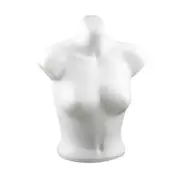 Female Mannequin Torso Bra Display Mannequin for Countertop Exhibition Shop