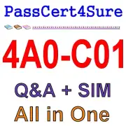 Nokia NRS II Composite 4A0-C01 Exam Q&A+SIM