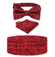 Men's Paisley Cummerbund and UNTIED Bow Tie One Size 130-wine Red(pretied)