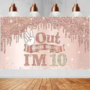 Excelloon Large 10 Years Old Birthday Banner Decorations for Girls, Pink Rose Gold 10th Birthday Backdrop Party Supplies, Out Single Digits I'm 10 Bday Poster Background Sign Decor (SX00261)