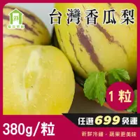 在飛比找momo購物網優惠-【每日宅鮮】任選$699免運 香瓜梨(1粒／380g／盒±5