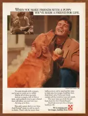 1984 Purina Pet Foods Vintage Print Ad/Poster Retro 80s Dog Pop Art Décor