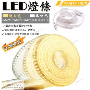 現貨 led燈條 燈條 110v  插電燈條  家裝燈條 軟燈條 廣告燈條 戶外防水燈條 露營燈條 客製燈帶