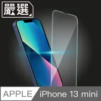 在飛比找PChome24h購物優惠-嚴選iPhone 13 mini 自動吸附疏水疏油非滿版鋼化