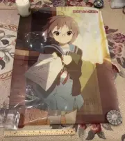 The Disappearance Of Haruhi Suzumiya Nagato Yuki Clear Poster 16X24 Anime Promo