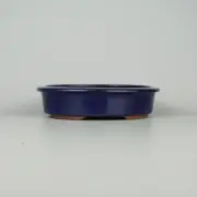 Japanese bonsai pot TOKONAME YOZAN Oval shape W18cm H4.2cm Ruri-Blue Glazed