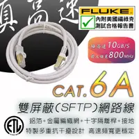 在飛比找蝦皮購物優惠-Cat.6A 網路線 SFTP 雙屏蔽+十字隔離桿 超強抗干