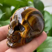 TOP 2“ Natural Tiger's eye hand carved skull quartz crystal healing 1PC
