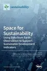 Stephen Morse Richard Murphy Ana Andries Space for Sustainability (Hardback)