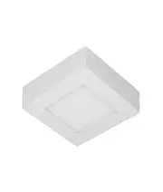 Surfacetri LED Dimmable Tri-CCT Surface Mounted Oyster Light (Square) 6W