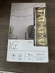 10ct Incandescent Mini Lights With String Hoods Natural-Project 62 A61