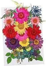 TEHAUX Dried Flower Embossing Kit 16pcs DIY Pressed Plant Material Flowers for Resin Molding Craft Supplies