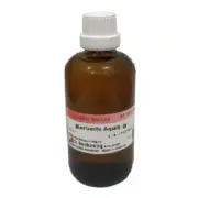 Dr. Reckeweg Berberis Aquif Mother Tincture Q (100 ML)