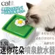 【培菓幸福寵物專營店】CATIT2.0》迷你花朵自動噴泉飲水器-1.5L