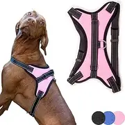 [Zenify Pets] Dog Harness - Chest Control Grab Adjustable Reflective for Medium Dogs (Pink, Medium)…
