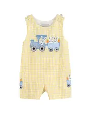 Lil Cactus Gingham Bunny Train Shortall