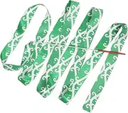 Rhythmic Gymnastics Ribbons Dance Ribbons for Gymnastics Gymnastic Training Ribbons Art Dance Ribbons Gymnastics Streamer Fitness Gymnastics Ribbon Dancing Ribbon Streamers