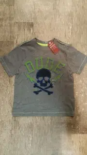 Arizona Dude Skull & and Crossbones Gray Blue Green T-Shirt Top Toddler Boys 3T