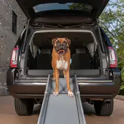 PetSafe® Happy Ride Compact Telescoping Dog Ramp PTV17-16878