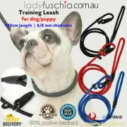 Cesar Millan Dog Puppy Training Correction Leash Slip Lead Pets Nylon Rope New P